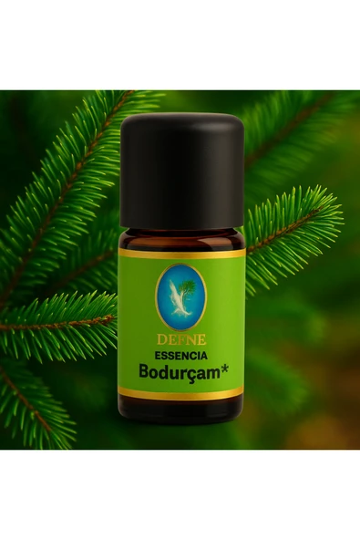 Bodur Çam* Organik %100 Saf Uçucu Yağ 10ml ürün görseli 1