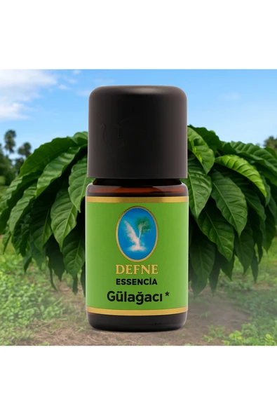 Gül Ağacı* Organik %100 Saf Uçucu Yağ 5ml ürün görseli 1