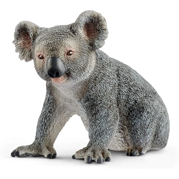 Koala ürün görseli 1