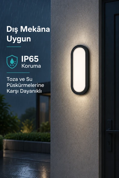12W LED Duvar ve Tavan Armatürü IP65 3 Renk 1320 Lümen Siyah Oval ürün görseli 1
