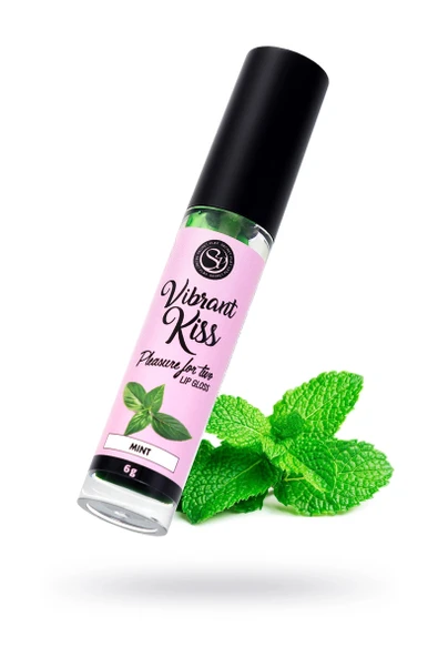 Nevamel® Secret Play Dudak Parlatıcı Nane Aromalı, 6 Gr ürün görseli 1