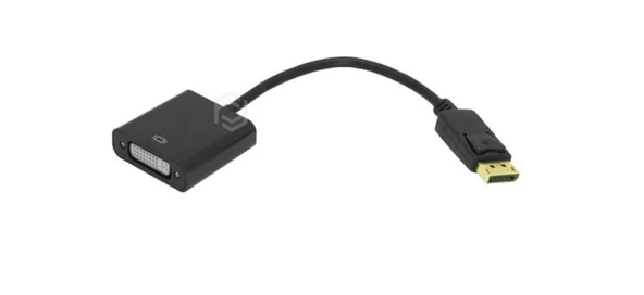 Frisby FA-6640C Display Port - DVI Dönüştürücü ürün görseli 1