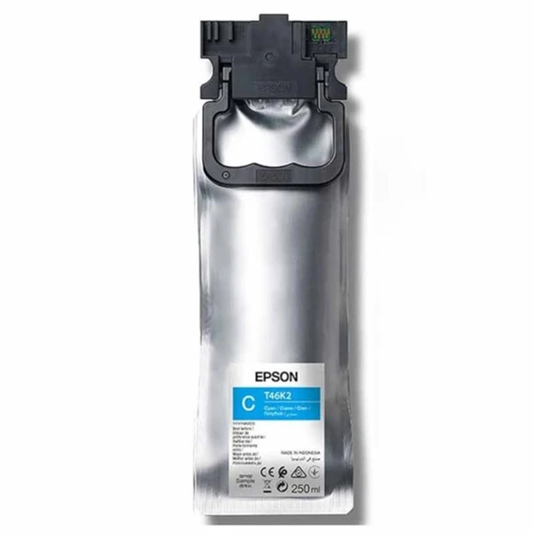 Epson SureLab SL D1000 Cyan-MAVİ  Renk Kartuş C13T46K240 ürün görseli 1