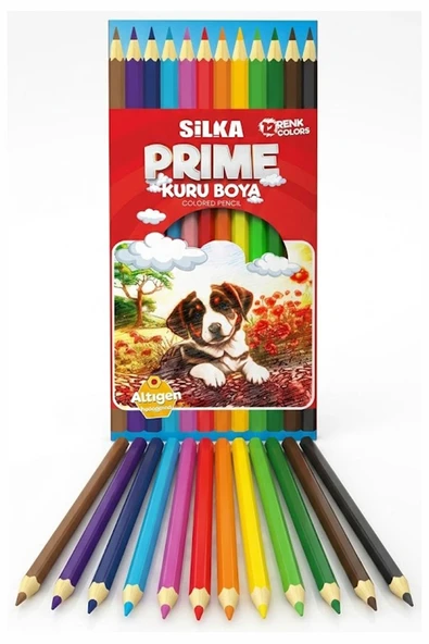 12 li Kuru Boya Kalemi Karton Kutu 1 Paket Silka 12 Renk Kuruboya Tam Boy Canlı Renkli Boya Kalem Okul Öğrenci ürün görseli 1