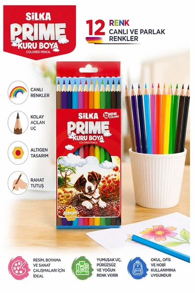12 li Kuru Boya Kalemi Karton Kutu 1 Paket Silka 12 Renk Kuruboya Tam Boy Canlı Renkli Boya Kalem Okul Öğrenci ürün görseli 1
