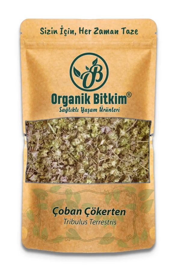 Organik Bitkim Çoban Çökerten (Tribulus) 500 gr ürün görseli 1