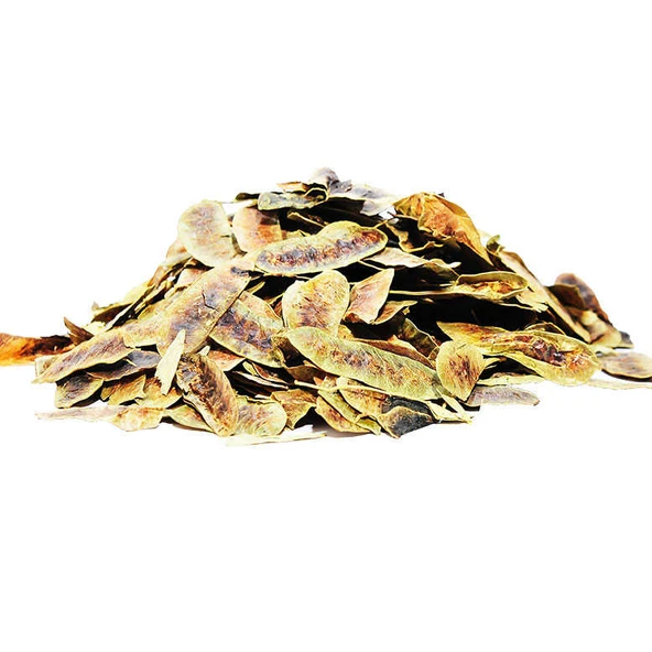 Açlık Otu Erkek Sinameki Doğal 100 Gr Paket ürün görseli 1