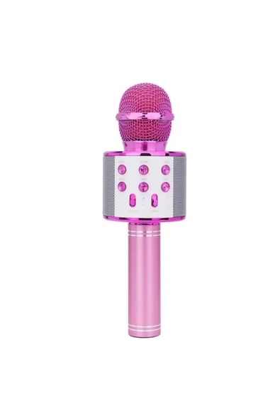 WS-858 Karaoke Mikrofon Aux Usb Ve Sd Kart Girişli Bluetooth Hoparlör ürün görseli 1