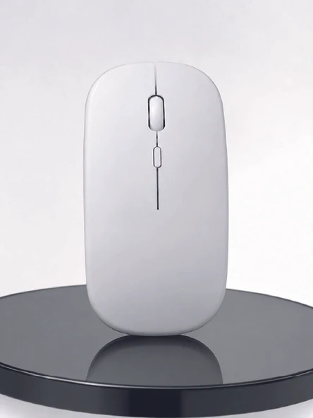 Profesyonel Mouse Çift Modlu Şarjlı Ergonomik - Resim 2