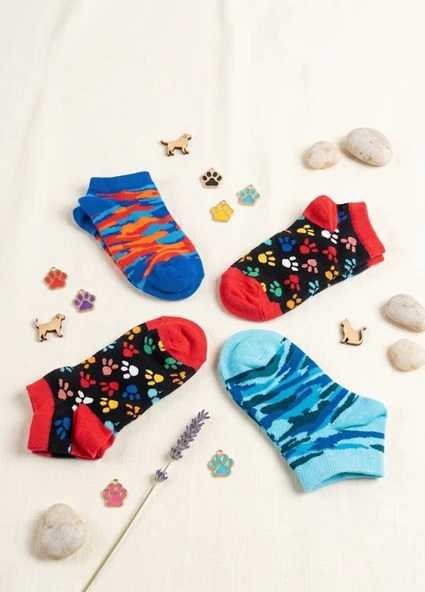 Erkek Çocuk Karışık Renkli 4 Lü Paket Patik Çorap ürün görseli 1