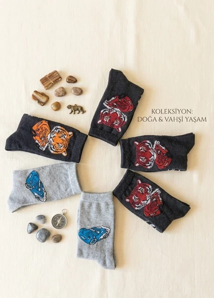 Erkek Çocuk Karışık Renkli 6 Lı Paket Soket Çorap ürün görseli 1