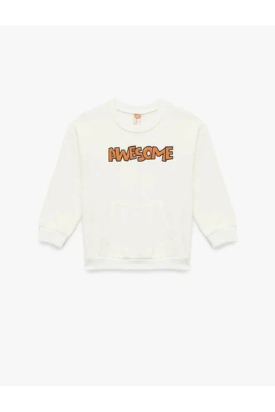 Koton Bebek Uzun Kollu Bisiklet Yaka Şardonlu Pamuklu Sweatshirt ürün görseli 1