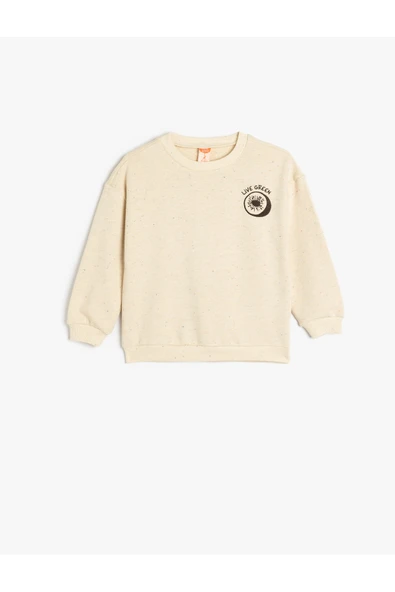 Koton Erkek Bebek Nakış Detaylı Uzun Kollu Bisiklet Yaka Pamuklu Sweatshirt ürün görseli 1