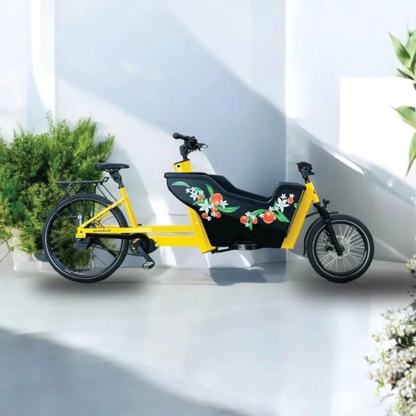 Rhousus Volume Eco  Bafang M510 Mid Motor Elektrikli Kargo Bisikleti ürün görseli 1