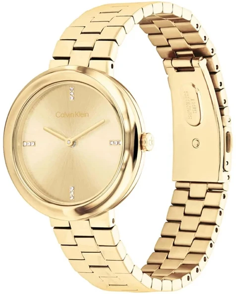 Calvin Klein CK25100094 - Resim 2
