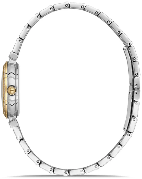 Momentus SS396T-15SG - Resim 2