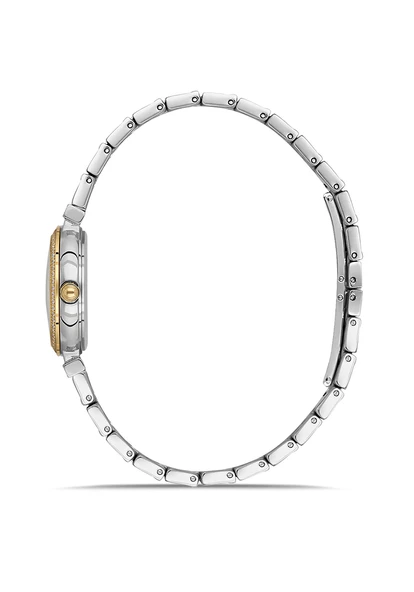 Momentus SS396T-09SG - Resim 2