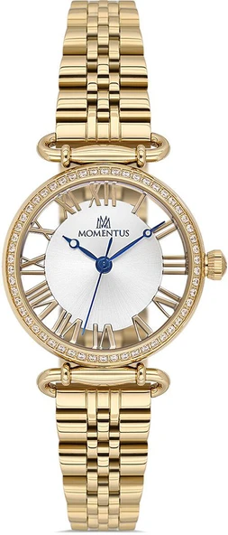 Momentus SS341G-02SG ürün görseli 1