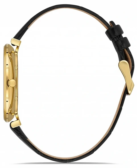 Hislon CL119G-08BGS - Resim 2