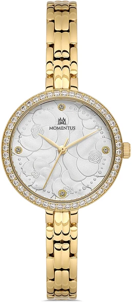 Momentus SS405G-02SG ürün görseli 1