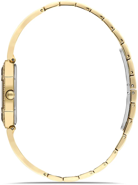 Momentus SS406G-09SG - Resim 2