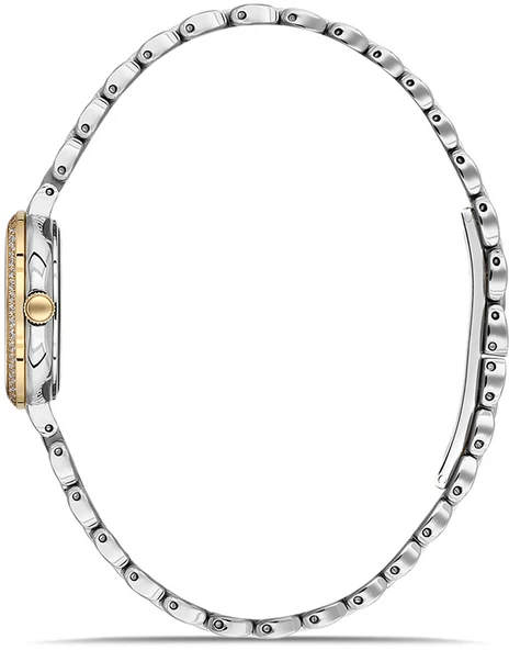 Momentus SW298T-09SG - Resim 2