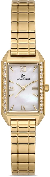 Momentus SS391G-09SG ürün görseli 1