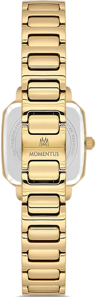 Momentus SS398G-15SG - Resim 3