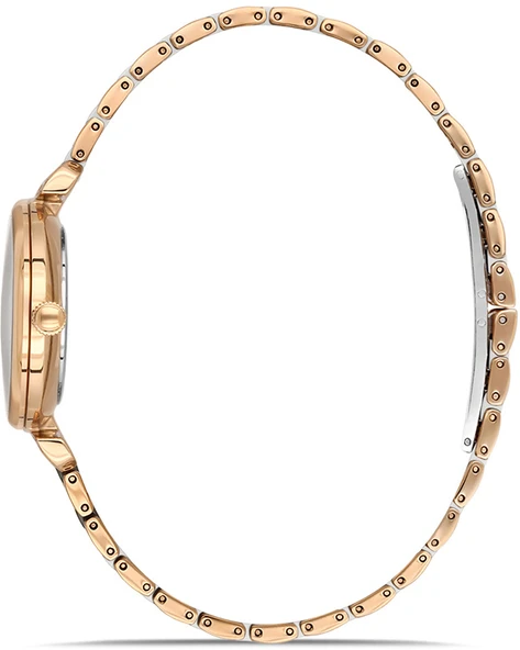 Momentus SS390T-02SR - Resim 2
