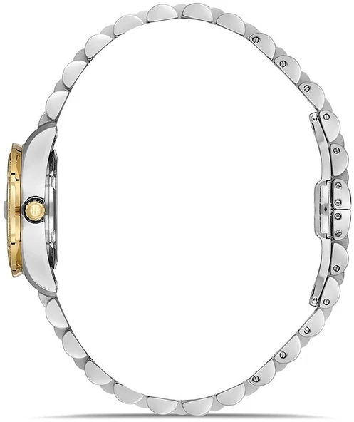 Hislon QL156T-02SGS - Resim 2