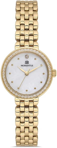 Momentus SW298G-09SG ürün görseli 1