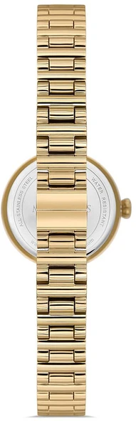 Momentus CW313G-09SG - Resim 2