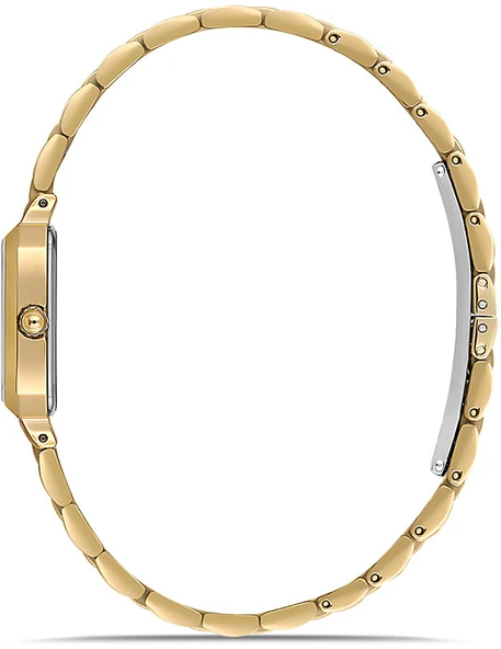 Momentus SS398G-02SG - Resim 2