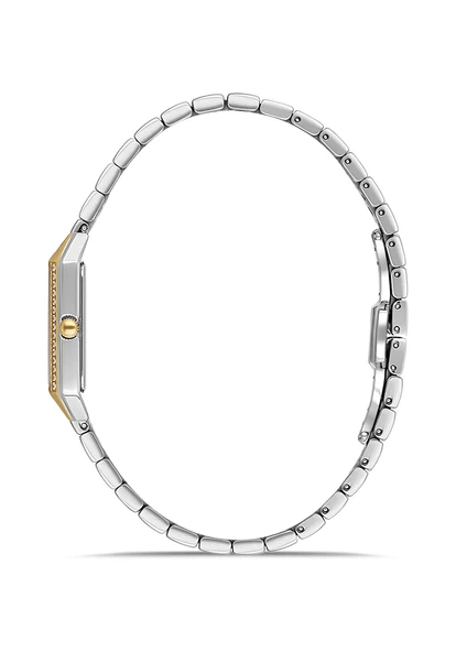 Momentus SS391G-09TG - Resim 2