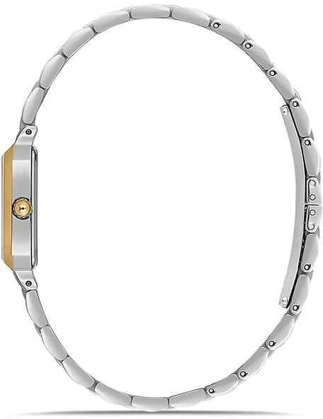 Momentus SS398T-02SG - Resim 2
