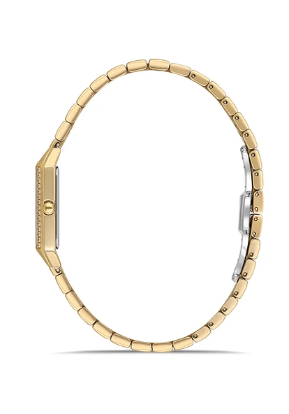 Momentus SS391G-09SG - Resim 2