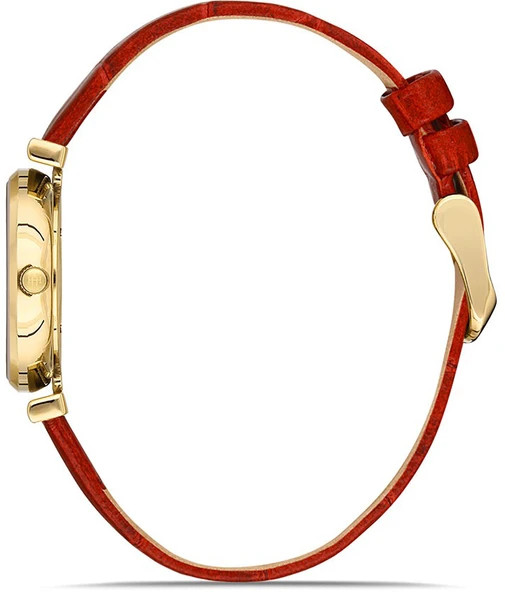 Hislon QL119G-09KG - Resim 2