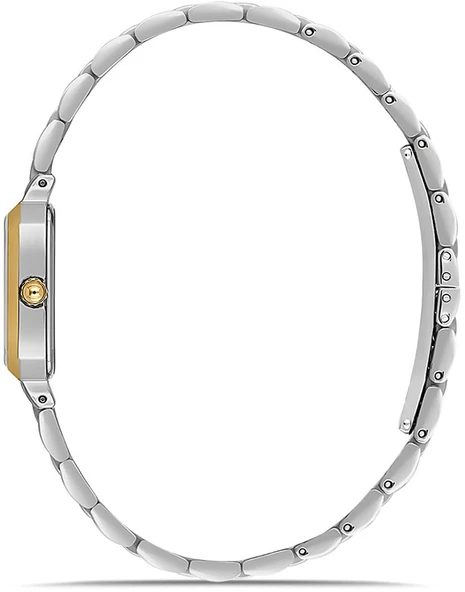 Momentus SS398T-15SG - Resim 2