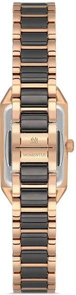 Momentus SS273T-04SR - Resim 3