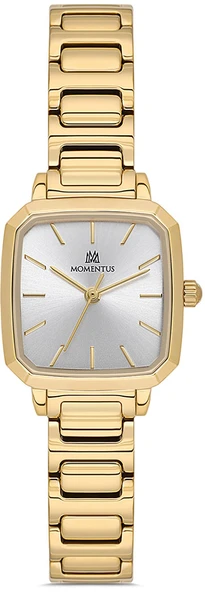 Momentus CW321G-02SG ürün görseli 1