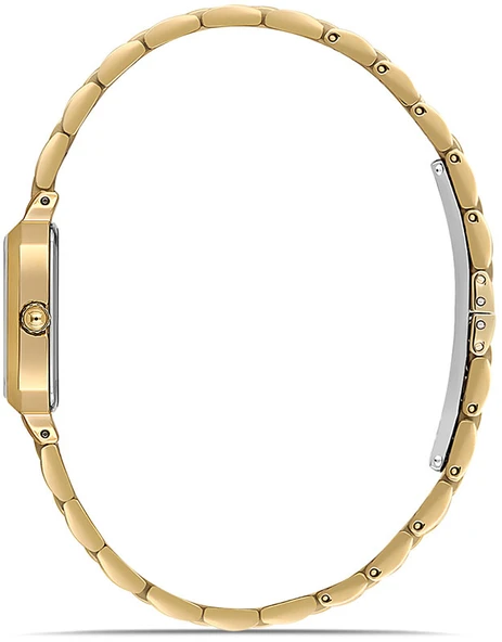Momentus CW321G-02SG - Resim 2