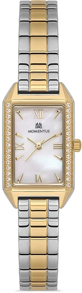 Momentus SS391G-09TG ürün görseli 1