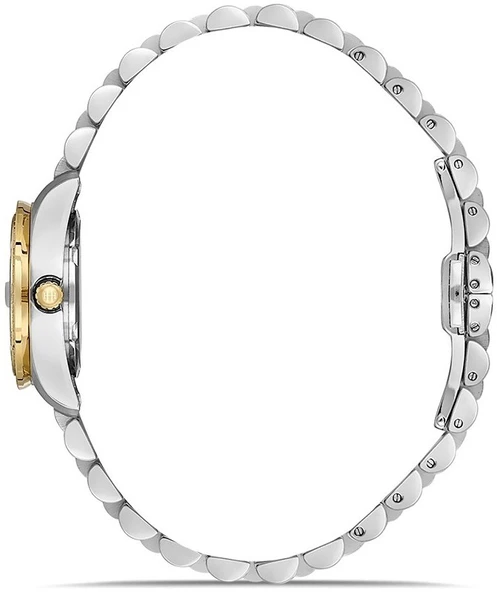 Hislon QL156T-15SGS - Resim 2