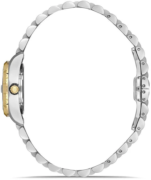 Hislon QL155T-02SGS - Resim 2