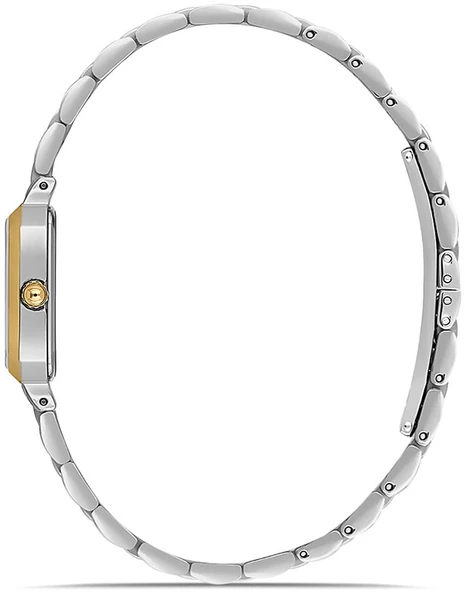 Momentus CW321G-02TG - Resim 2