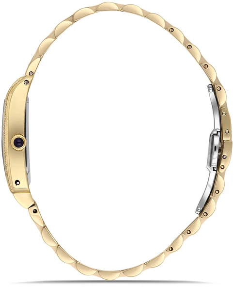 Momentus SS365G-10SG - Resim 2