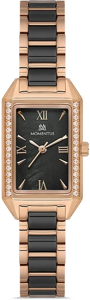 Momentus SS273T-04SR ürün görseli 1