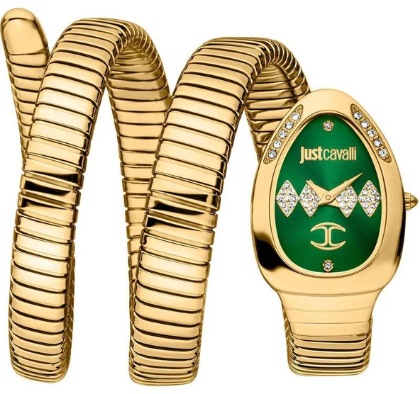 Just Cavalli JC1L230M0045 ürün görseli 1