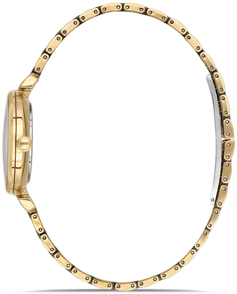 Momentus SS390T-04SG - Resim 2