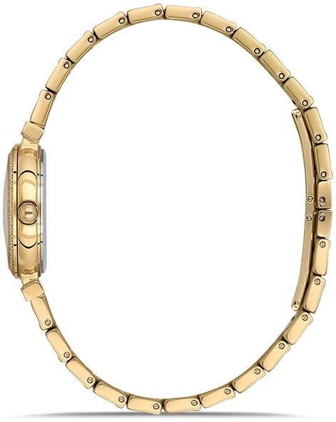 Momentus SS396G-09SG - Resim 2